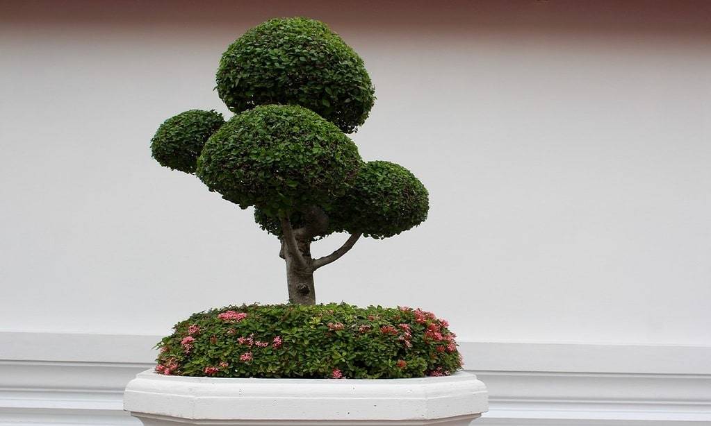 Entretien des plantes artificielles, comment procéder ?